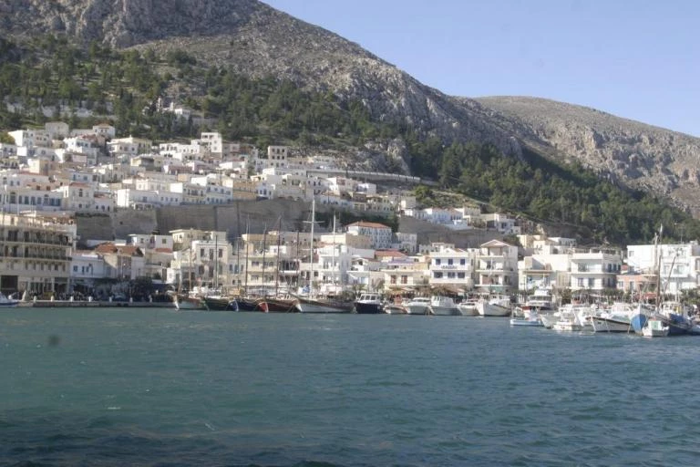 Κάλυμνος: Ομογενής επιχειρηματίας μοίρασε 300 αρνιά σε άπορες οικογένειες!